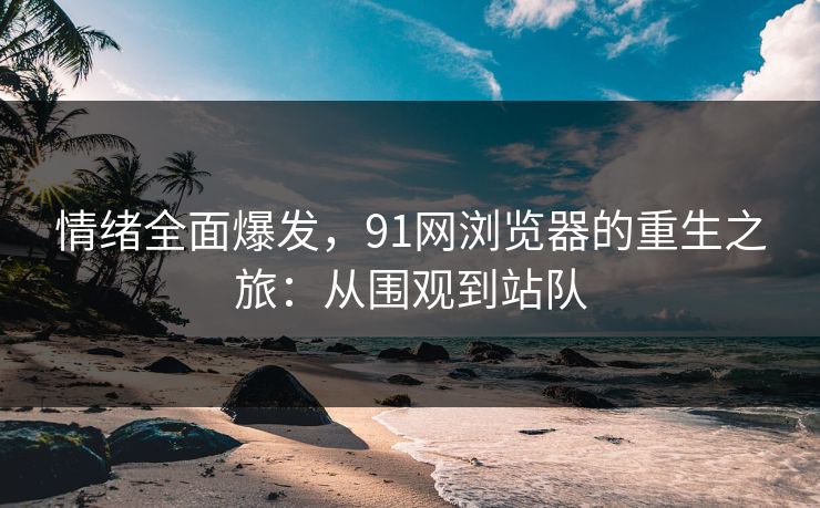 情绪全面爆发,91网浏览器的重生之旅:从围观到站队 情绪全面爆发,91网浏览器的重生之旅:从围观到站队