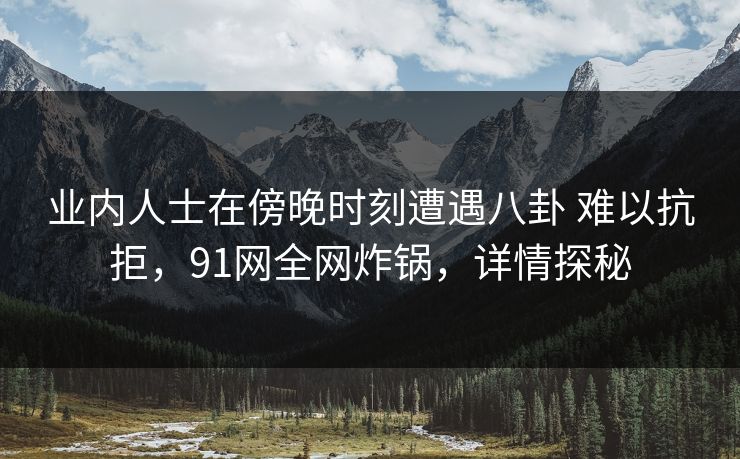 业内人士在傍晚时刻遭遇八卦 难以抗拒，91网全网炸锅，详情探秘